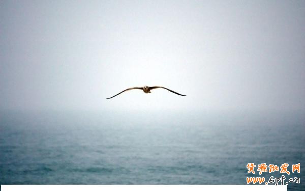 視覺營銷:針對網店運營有不可估量的作用 4