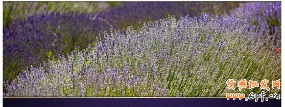 17.【亮鉆計劃】拒絕理由解析——涉及線下數據的解決方案