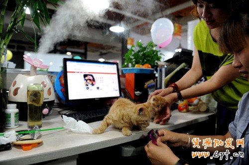 淘寶創(chuàng)業(yè)