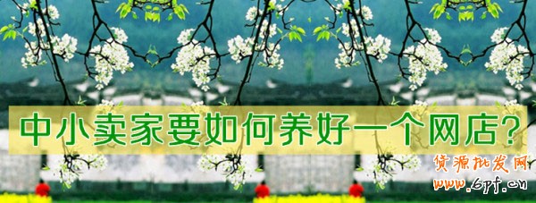 中小賣家如何做好一個網(wǎng)店? 中小賣家如何做好一個網(wǎng)店?