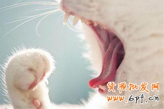 淘寶開店不刷單怎么有高轉化?