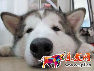 關于淘寶開店評價那些事