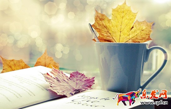 敢問2016年淘寶開店 路在何方？