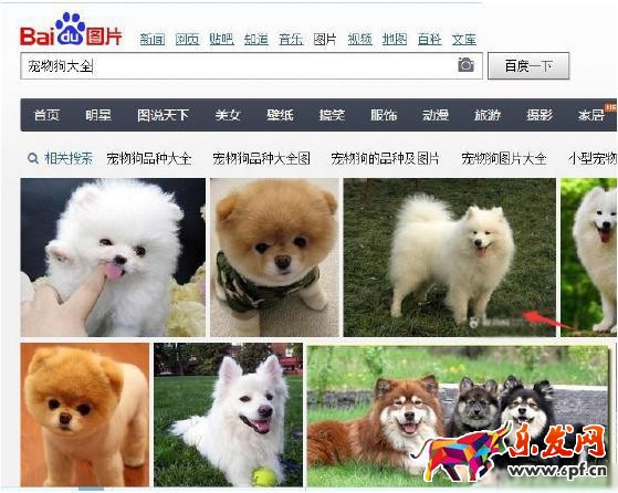 新手做微商怎么引流