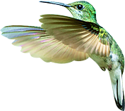 ps海報設計 淘寶海報 ps海報設計 淘寶海報