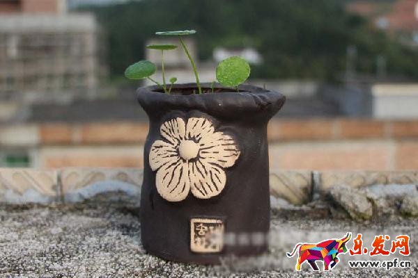 如何作一個圖文并茂,引人入勝的詳情頁? 如何作一個圖文并茂,引人入勝的詳情頁?