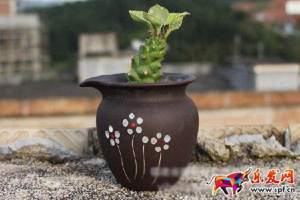 如何作一個圖文并茂,引人入勝的詳情頁? 如何作一個圖文并茂,引人入勝的詳情頁?