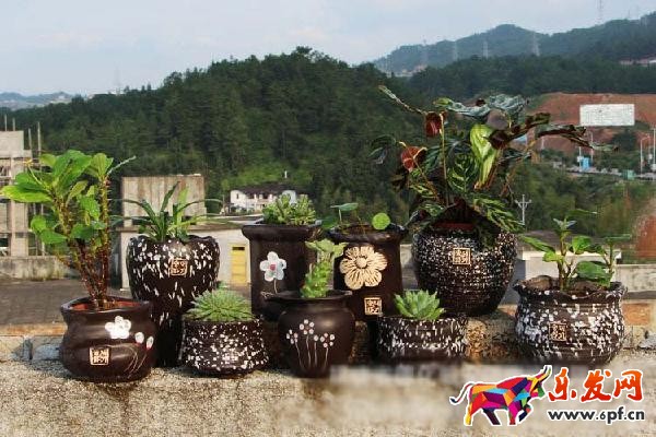 如何作一個圖文并茂,引人入勝的詳情頁? 如何作一個圖文并茂,引人入勝的詳情頁?