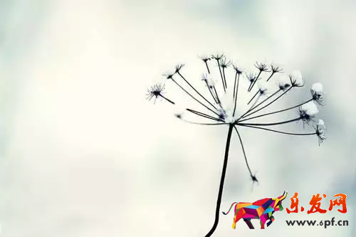 網(wǎng)店怎么代理加盟?有什么條件? 網(wǎng)店怎么代理加盟?有什么條件?