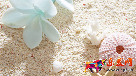 阿里小蜜網站有哪些？