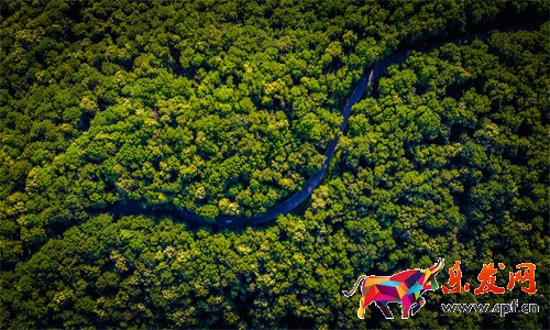 運營實操,Lazada如何入駐LazMall店鋪？和普通店鋪有什么區別？